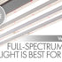 White Lie #3: Full-Spectrum white light is the best for your plants