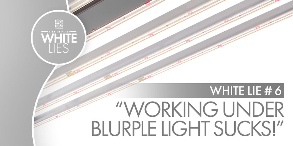 White Lie #6: “Working under Blurple LEDs sucks”