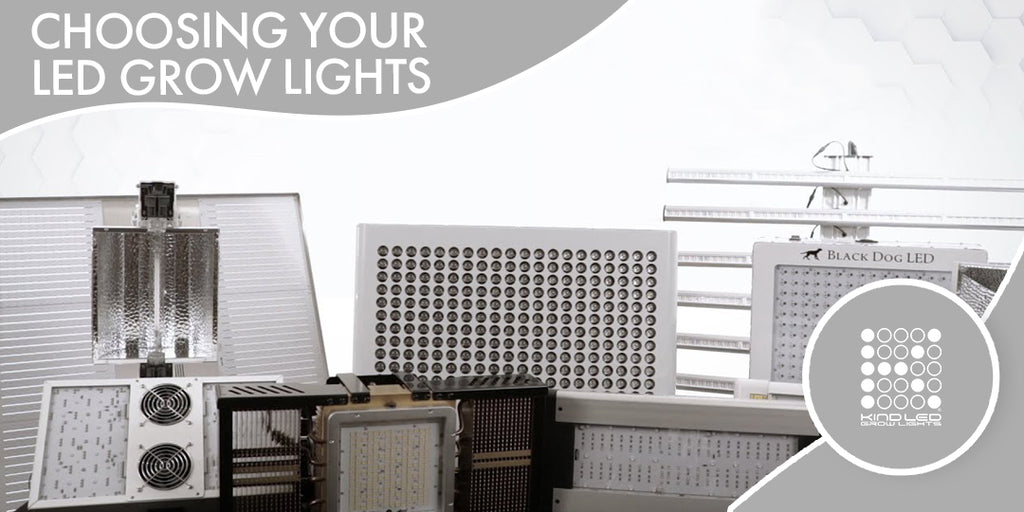 Choosing the Best LED Grow Lights