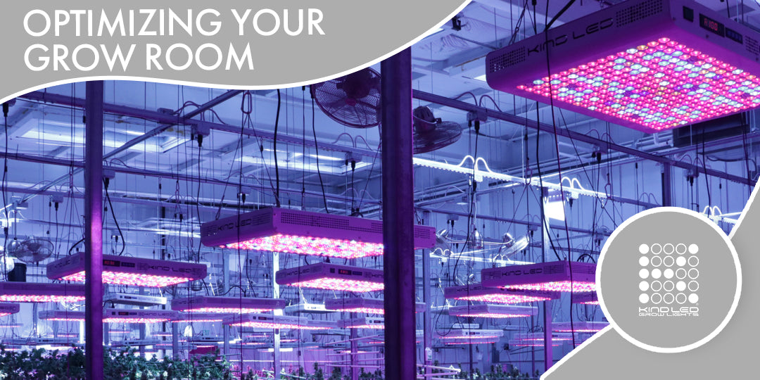 Optimizing Your Grow Room with Kind LED Grow Lights