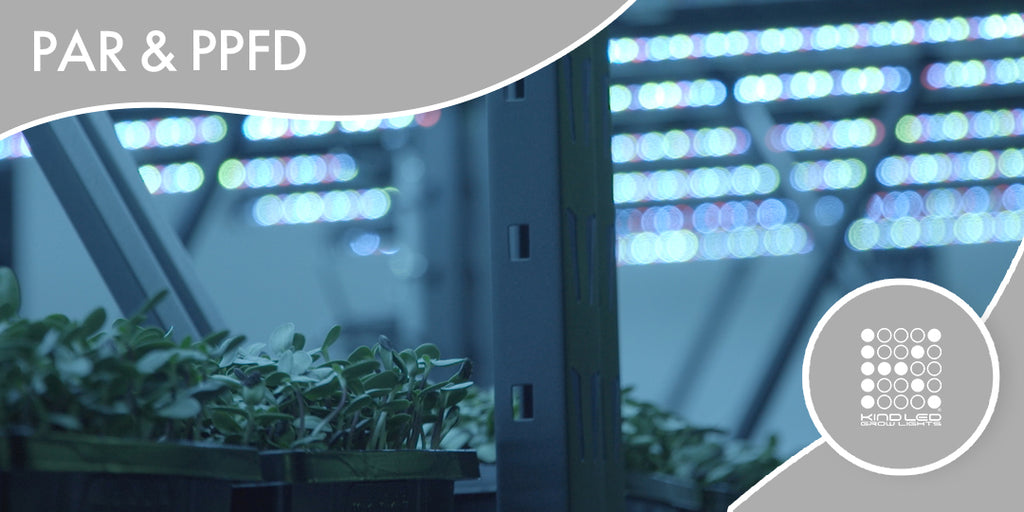 Kind LED Grow Lights PPFD readings