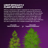 X Series Cannabis LED Grow Light Efficacy