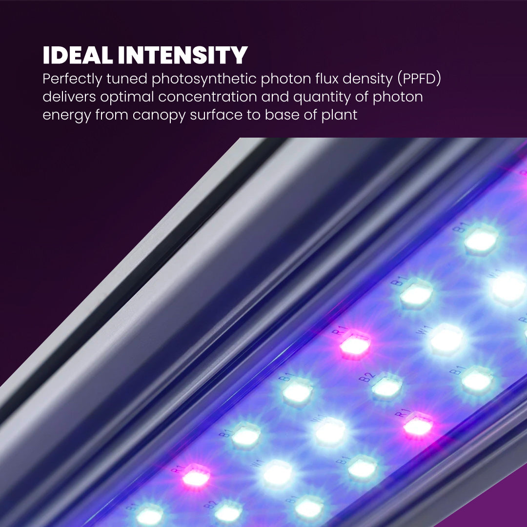 LED Grow Light Bar Superior Quality for Exceptional Plant Growth