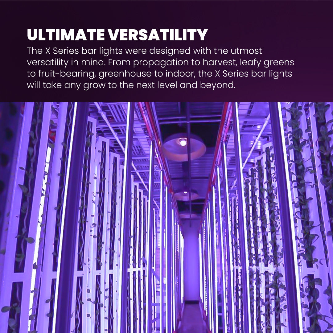 LED Grow Light Bar Superior Quality for Exceptional Plant Growth