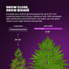 X Series Cannabis LED Grow Light Maximized Grow Space
